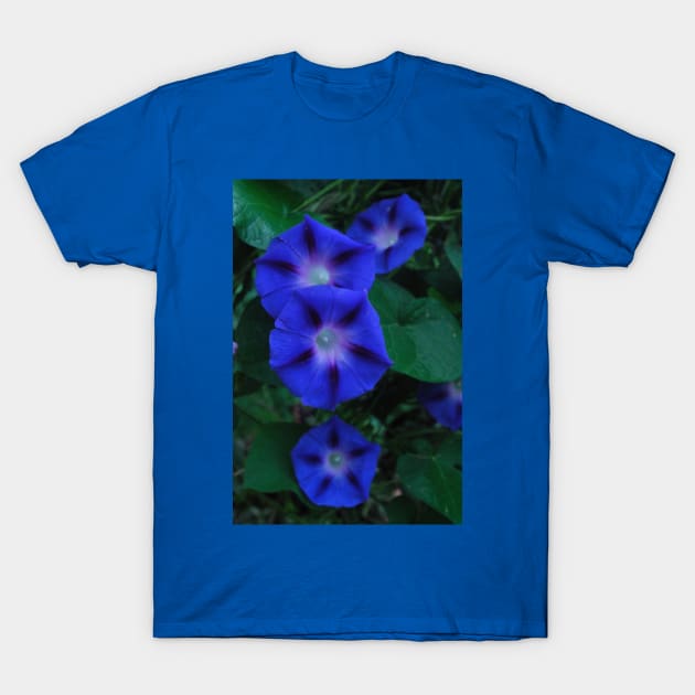 Blue Morning Drops T-Shirt by michaelasamples